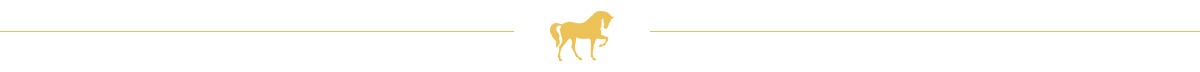 séparateur but